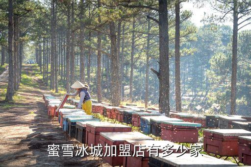 大蓝加盟费,蓝白加盟费多少钱啊