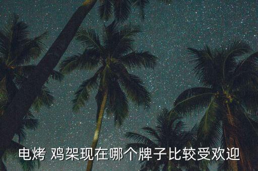 电烤 鸡架现在哪个牌子比较受欢迎