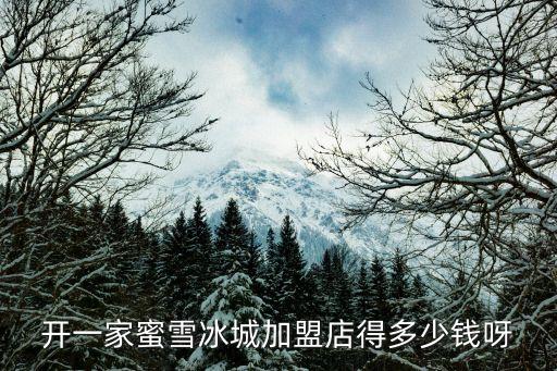 开一家蜜雪冰城加盟店得多少钱呀