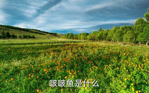 啵啵鱼是什么