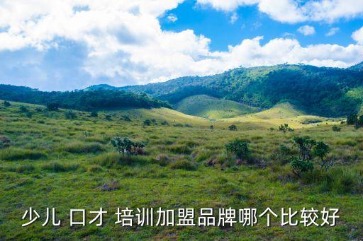 少儿 口才 培训加盟品牌哪个比较好