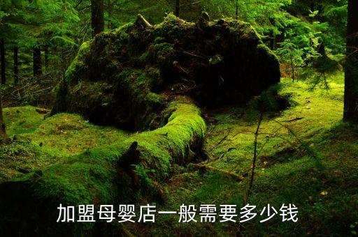 加盟母婴店一般需要多少钱