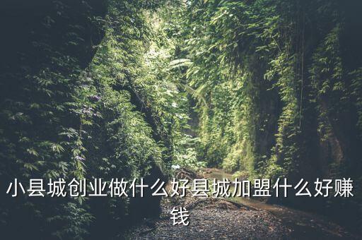 小县城创业做什么好县城加盟什么好赚钱