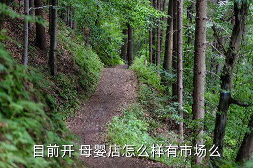果果糖母婴加盟费多少,果果的鞋加盟费多少