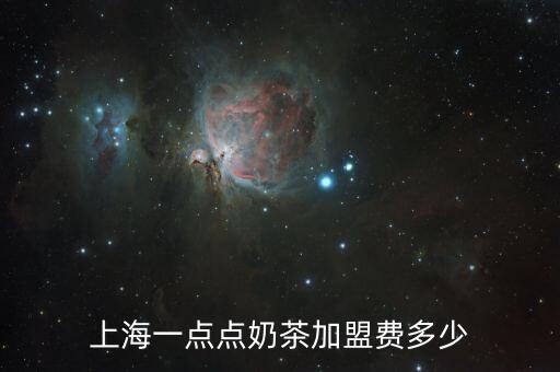 上海一点点奶茶加盟费多少