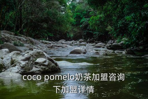 coco pomelo奶茶加盟咨询下加盟详情