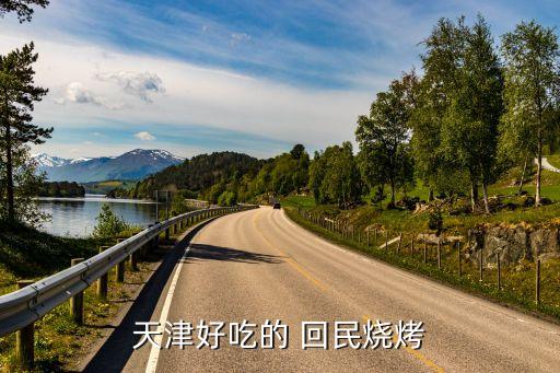 天津好吃的 回民烧烤