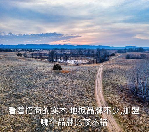 看着招商的实木 地板品牌不少,加盟哪个品牌比较不错