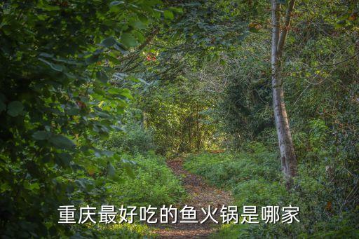 重庆最好吃的鱼火锅是哪家