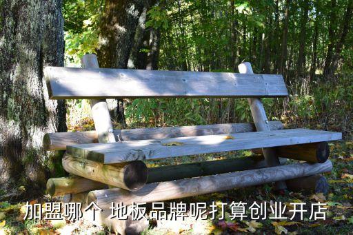 加盟哪个 地板品牌呢打算创业开店