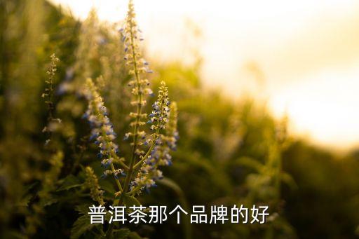 普洱茶那个品牌的好