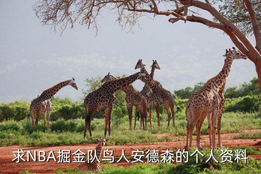 求NBA掘金队鸟人安德森的个人资料