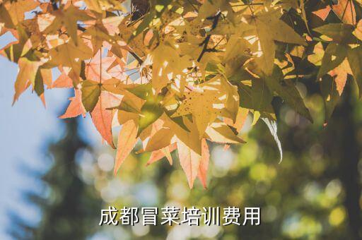 成都冒菜培训费用