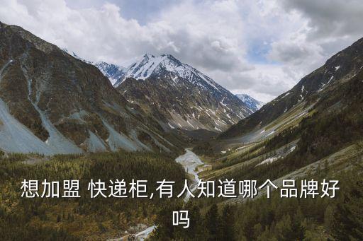想加盟 快递柜,有人知道哪个品牌好吗