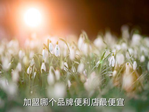 加盟哪个品牌便利店最便宜