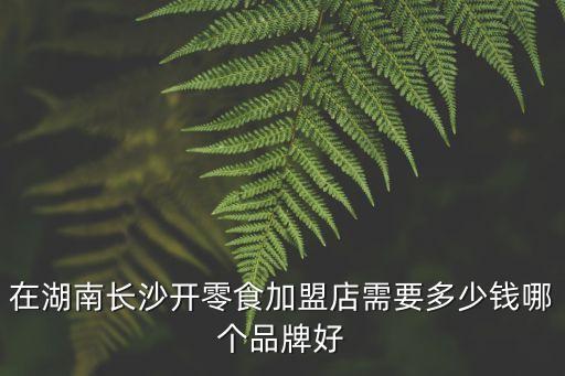 在湖南长沙开零食加盟店需要多少钱哪个品牌好