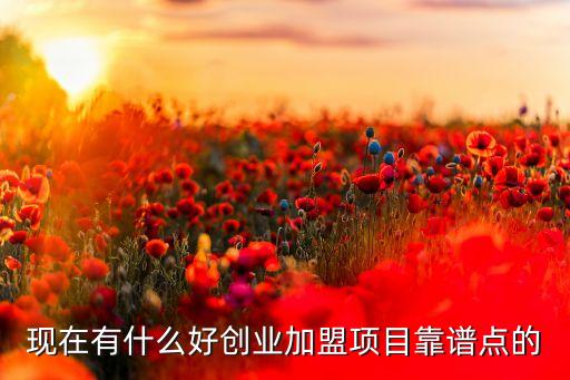 现在有什么好创业加盟项目靠谱点的