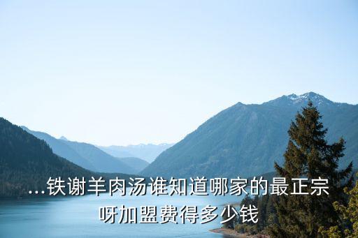 ...铁谢羊肉汤谁知道哪家的最正宗呀加盟费得多少钱