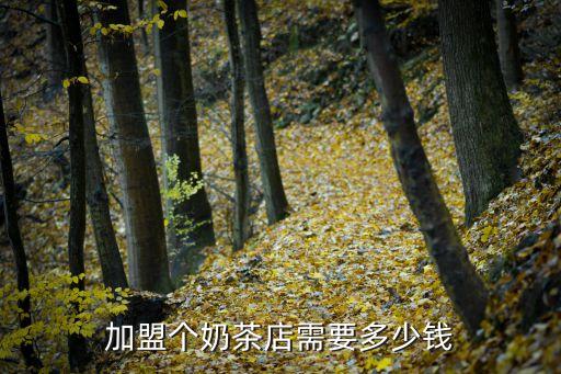 加盟个奶茶店需要多少钱