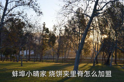 蚌埠小晴家 烧饼夹里脊怎么加盟