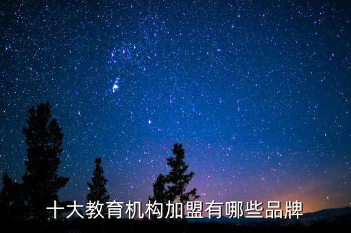十大教育机构加盟有哪些品牌