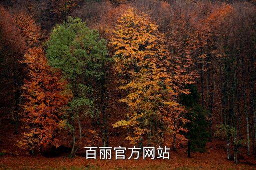 佰丽女鞋加盟费多少,千百度女鞋加盟费多少