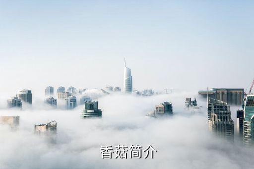 福州野生香菇加盟费用