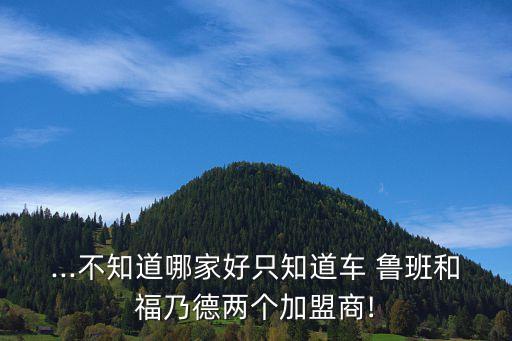 ...不知道哪家好只知道车 鲁班和福乃德两个加盟商!