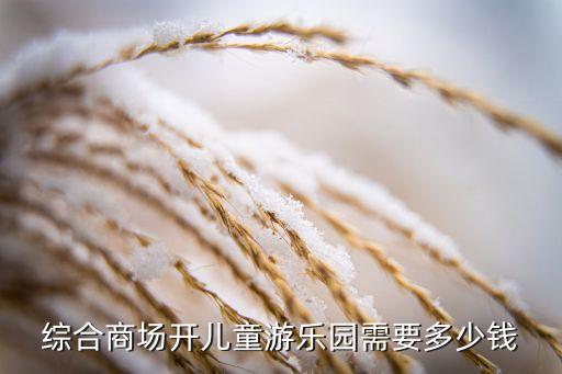 综合商场开儿童游乐园需要多少钱
