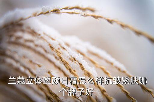  兰蔻立体塑颜日霜怎么样抗皱紧肤哪个牌子好