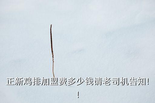 正新鸡排加盟费多少钱请老司机告知!!