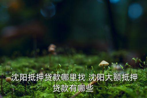  沈阳抵押贷款哪里找 沈阳大额抵押贷款有哪些
