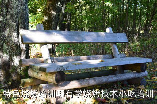 特色烧烤培训哪有学烧烤技术小吃培训