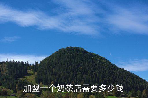 吃茶加盟费多少钱,结婚吃茶给多少钱合适