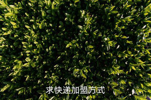 求快递加盟方式