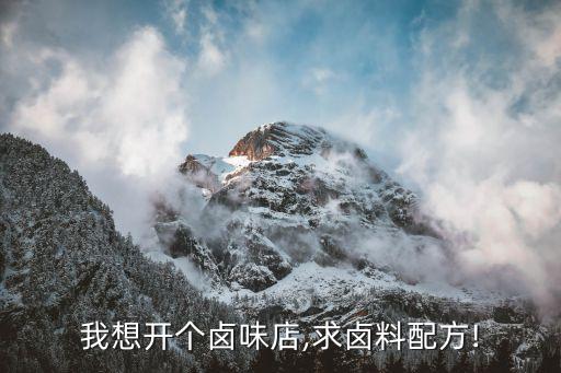 我想开个卤味店,求卤料配方!