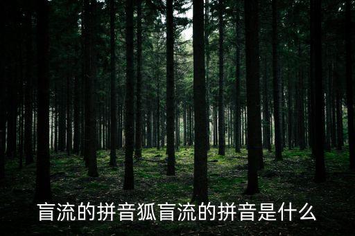 金得利加盟费是多少
