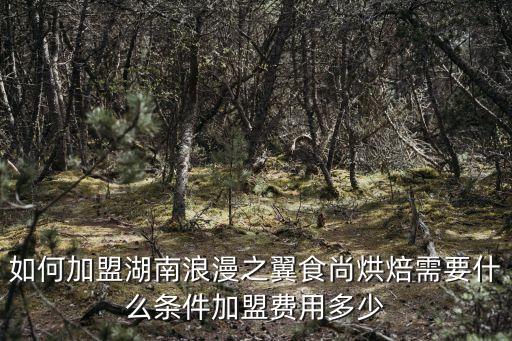 如何加盟湖南浪漫之翼食尚烘焙需要什么条件加盟费用多少