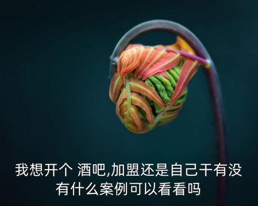 我想开个 酒吧,加盟还是自己干有没有什么案例可以看看吗