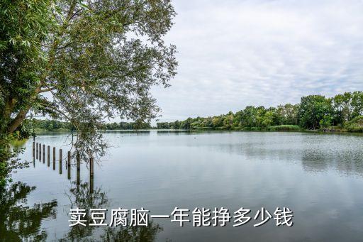 卖豆腐脑一年能挣多少钱