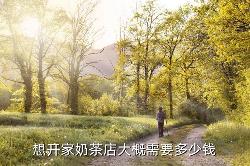 想开家奶茶店大概需要多少钱