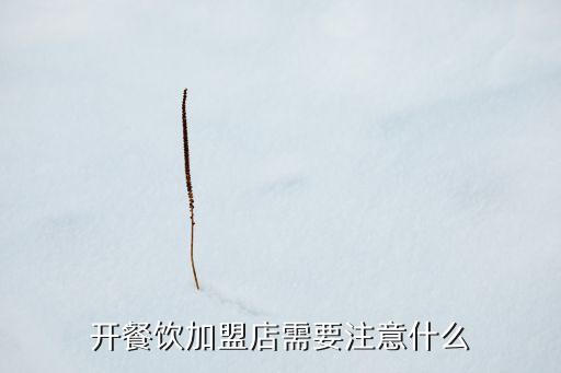 开餐饮加盟店需要注意什么