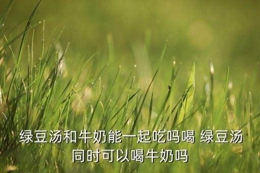 洛阳绿豆牛乳加盟费多少