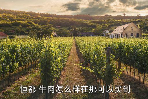  恒都 牛肉怎么样在那可以买到