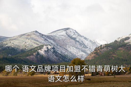 哪个 语文品牌项目加盟不错青萌树大 语文怎么样