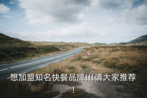 想加盟知名快餐品牌!!!请大家推荐!