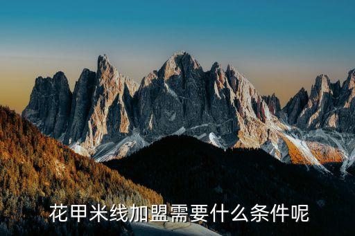  花甲米线加盟需要什么条件呢
