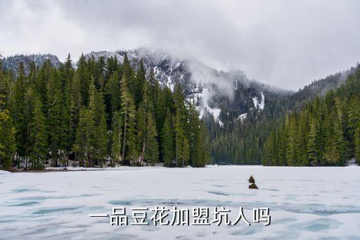 一品豆花加盟坑人吗