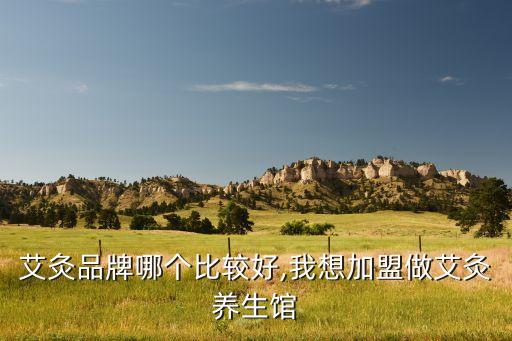 艾灸品牌哪个比较好,我想加盟做艾灸养生馆