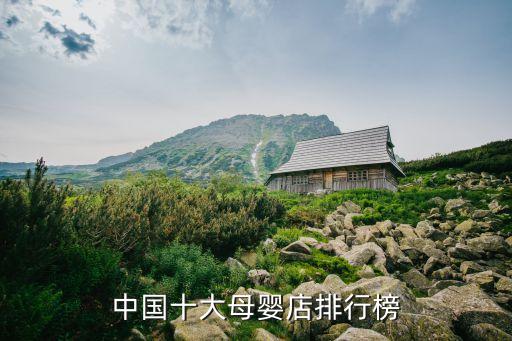 中国十大母婴店排行榜